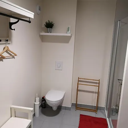 2 Pieces Avec Jardin Et Parking, Proche Thermes Et - Fr-1-858-18 アパート Mont-Dore